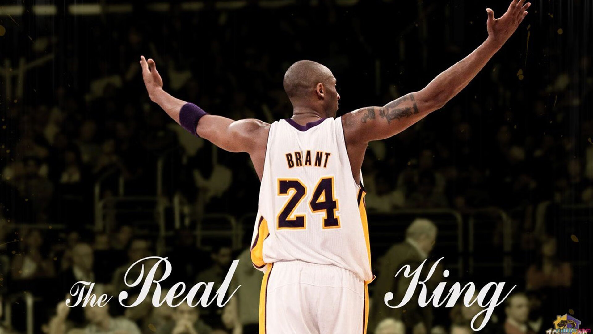 体育仲裁机构裁定争议案件，维护赛事公平引热议